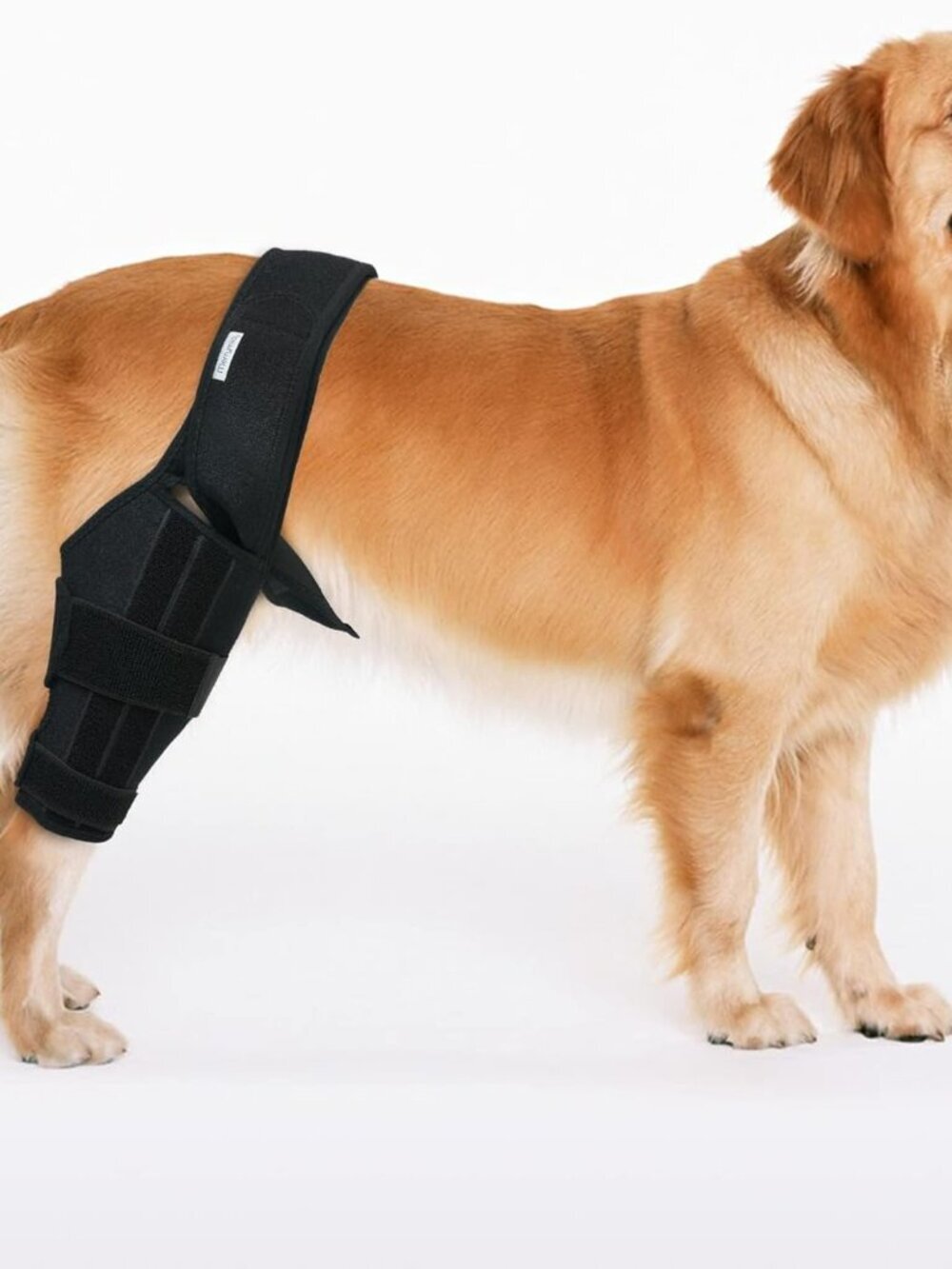 Dog Knee Brace for Hind Leg Support, Helps Stabilize ACL